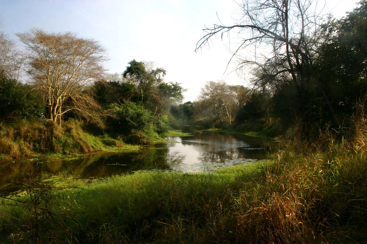 Musikadze River