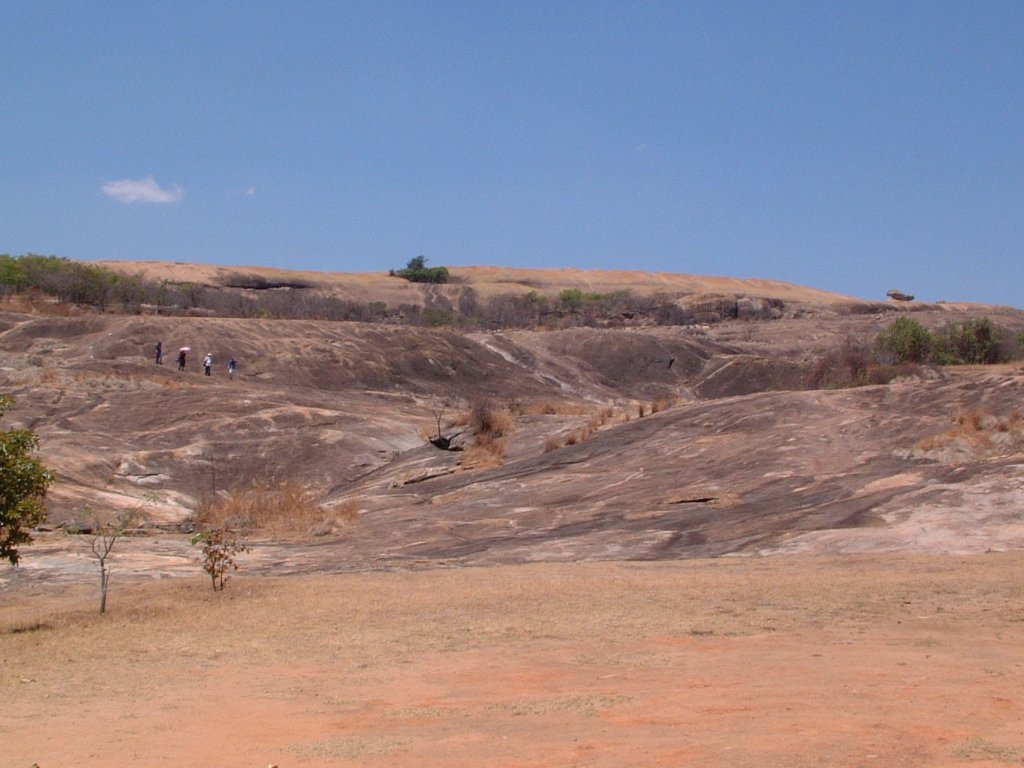 View from the base of Domboshawa hill near the Interpretative Centre looking towards the summit. The "whale rock" is on the right. There is a patch of trees and other woody vegetation near the top just to the left of centre. View from the base of Domboshawa hill near the Interpretative Centre looking towards the summit. The "whale rock" is on the right. There is a patch of trees and other woody vegetation near the top just to the left of centre.